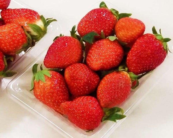 【泉州地区発】 スイーツも景色も全て味わう バレンタインミステリー 日帰り3